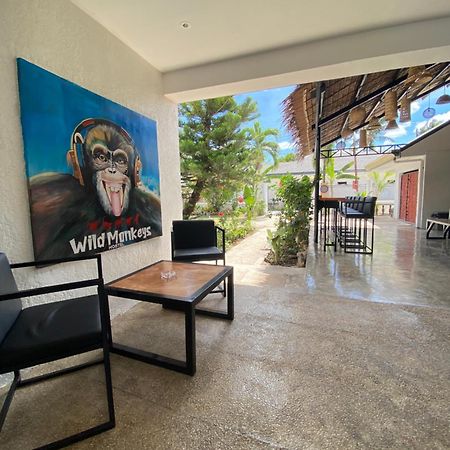 Wild Monkeys Hostel โมอัลโบอัล ภายนอก รูปภาพ