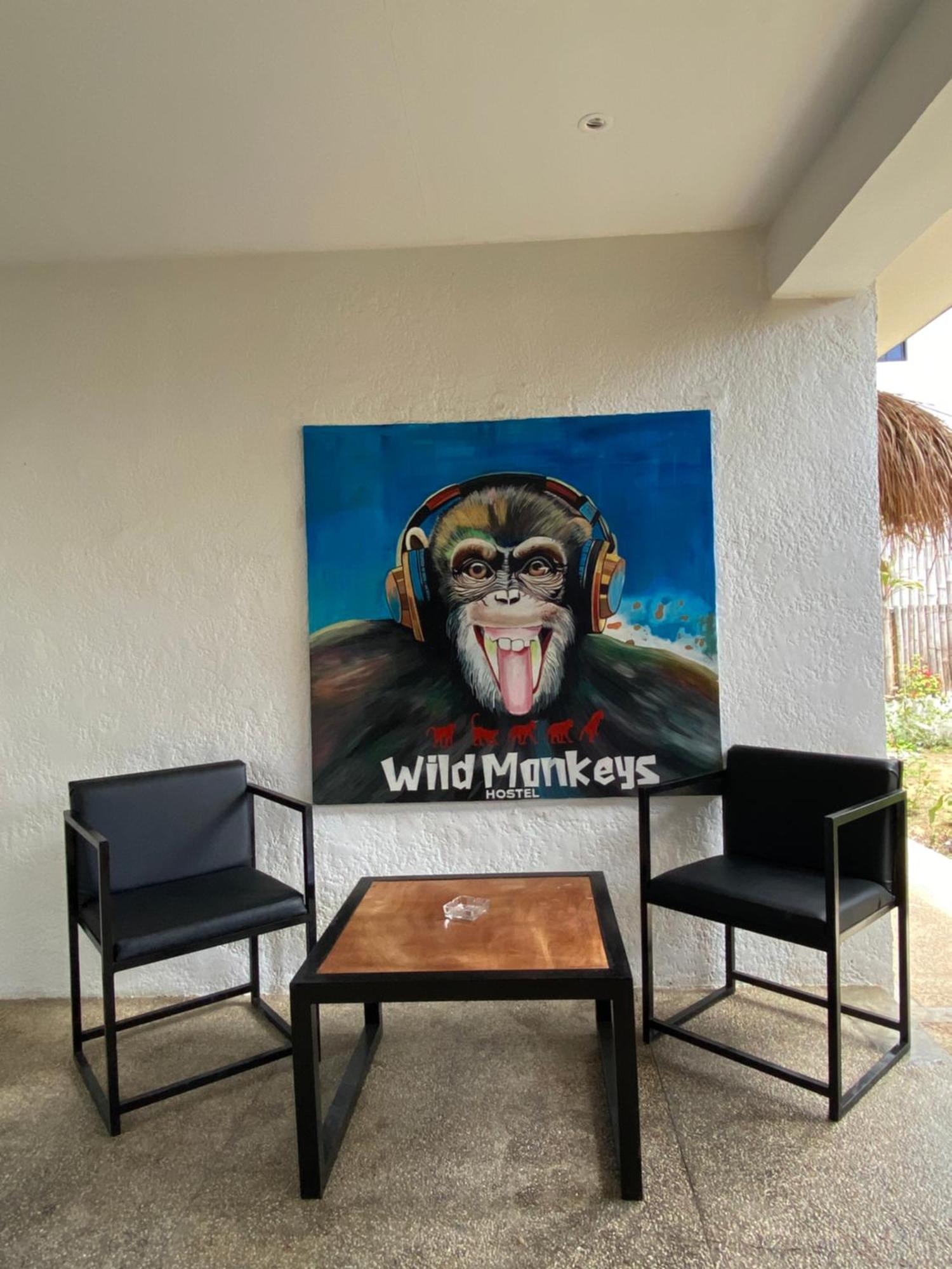 Wild Monkeys Hostel โมอัลโบอัล ภายนอก รูปภาพ